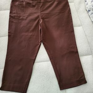 Chocolate brown capri slacks Apt. 9 size 24W